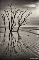 © Kevin Horsefield