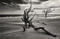 © Kevin Horsefield