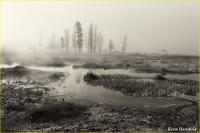 © Kevin Horsefield