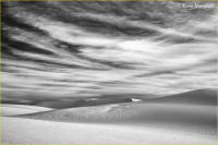 © Kevin Horsefield