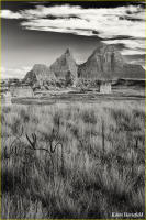 © Kevin Horsefield