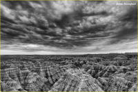 © Kevin Horsefield