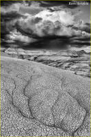 © Kevin Horsefield