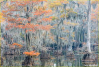 © Kevin Horsefield