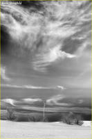 © Kevin Horsefield
