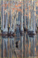 © Kevin Horsefield
