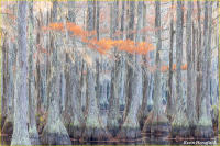 © Kevin Horsefield