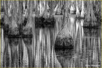 © Kevin Horsefield