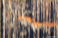 © Kevin Horsefield