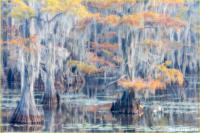 © Kevin Horsefield